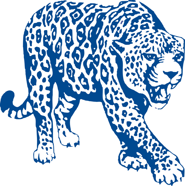 South Alabama Jaguars 1993-2007 Partial Logo t shirts iron on transfers v2